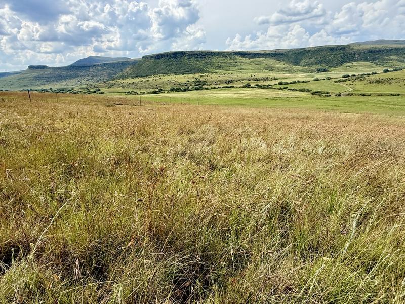 0 Bedroom Property for Sale in Harrismith Free State